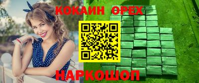мет Кингисепп