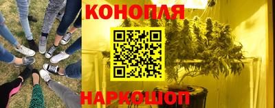 мет Кингисепп