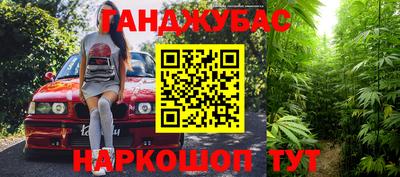 мет Кингисепп