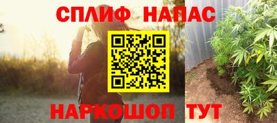 мет Кингисепп