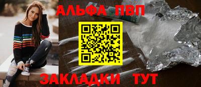 мет Кингисепп