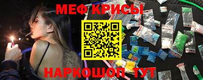 мет Кингисепп