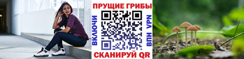 Купить где  Котельники  Галлюциногенные грибы мухоморы 