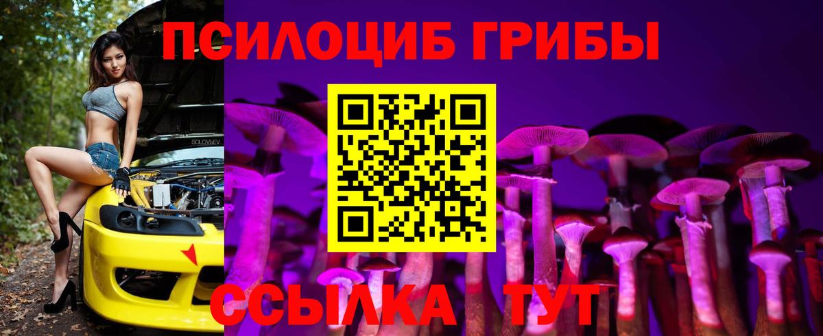Псилоцибиновые грибы Cubensis Котельники