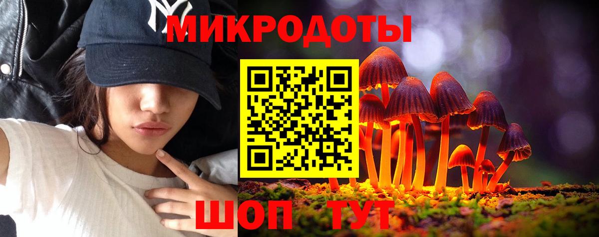 Галлюциногенные грибы Psilocybe  Вход с VPN  Котельники 