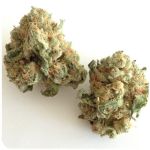 Шишки "White Widow"  (Белая вдова)  Гидропоника -  Бошка VHQ в Котельниках